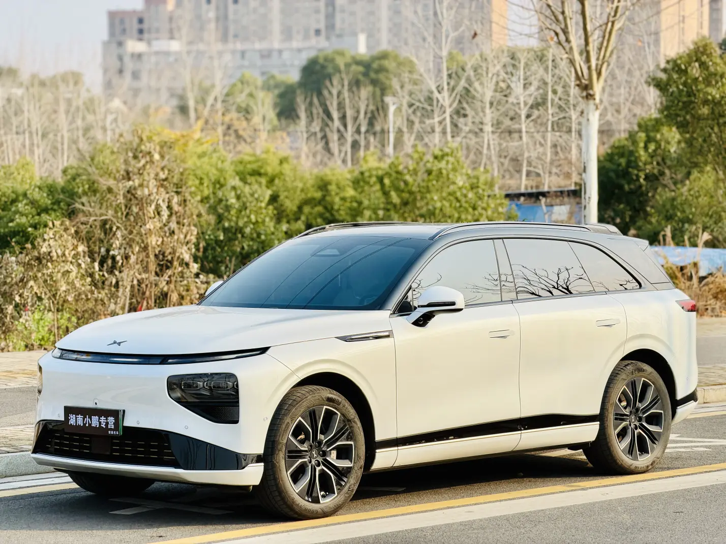 Xpeng G9  из Китая