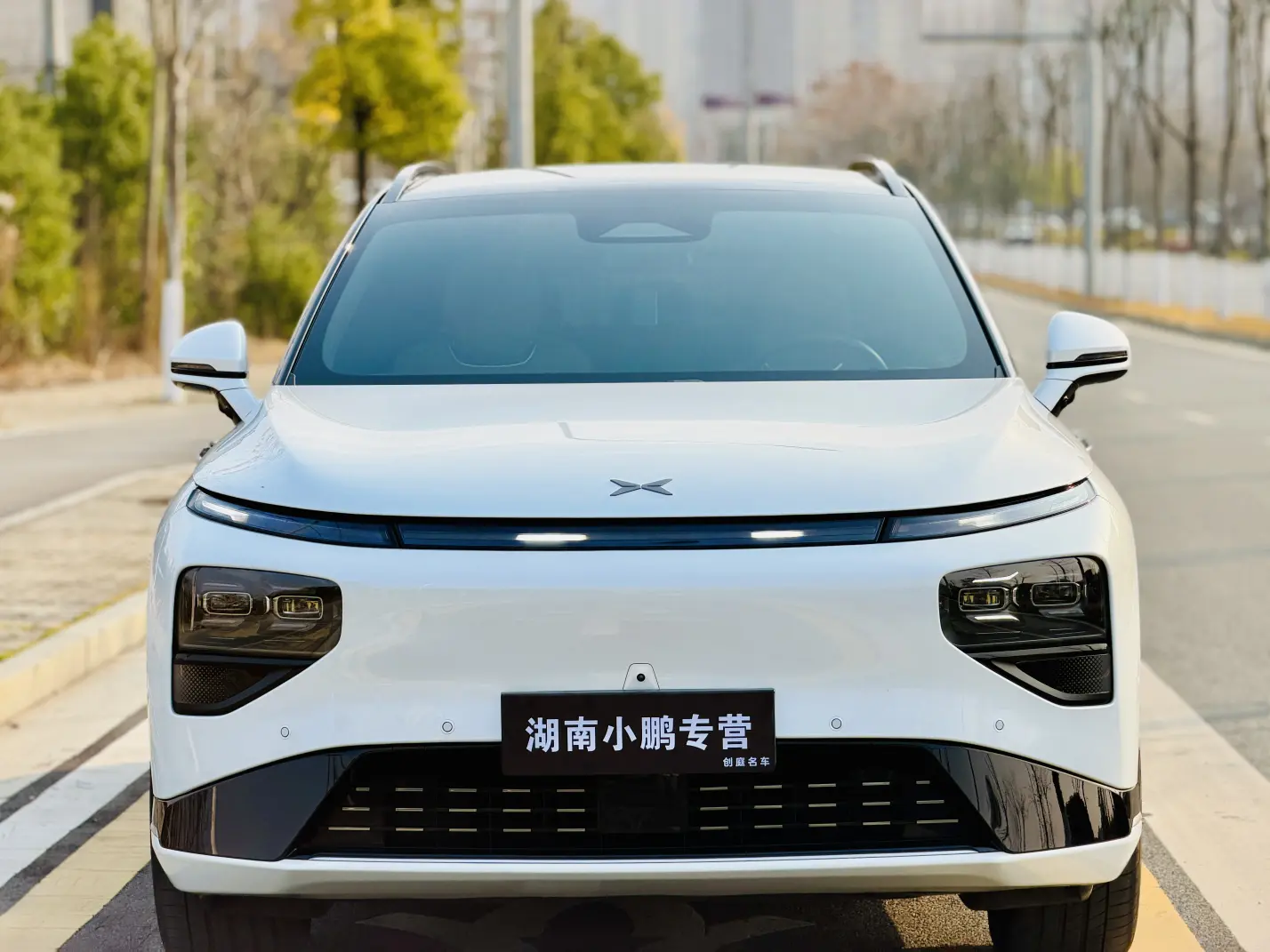 Xpeng G9  из Китая