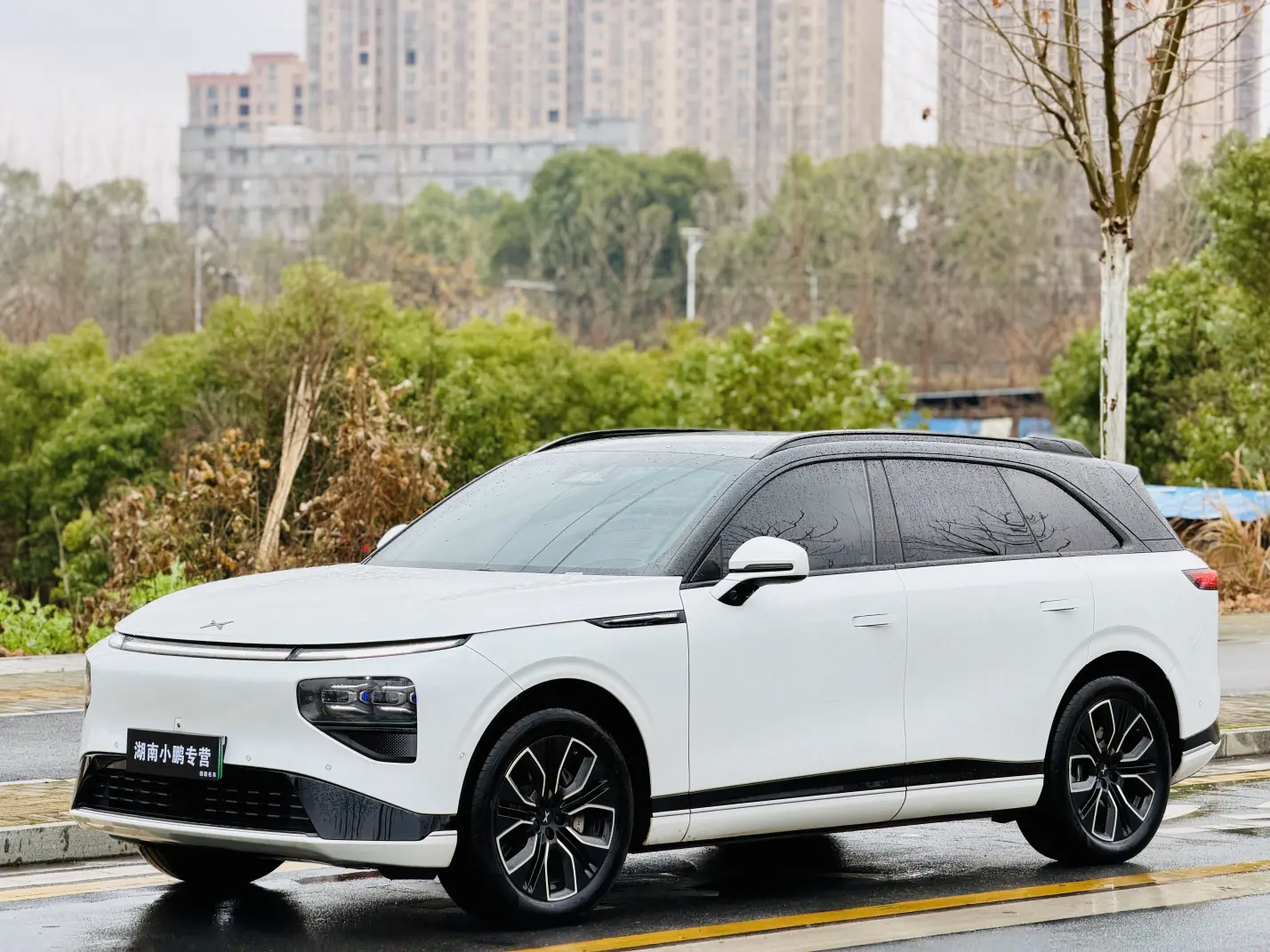 Xpeng G9  из Китая