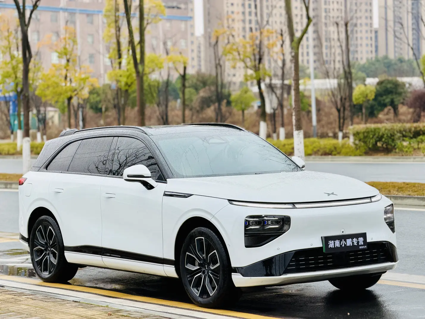 Xpeng G9  из Китая