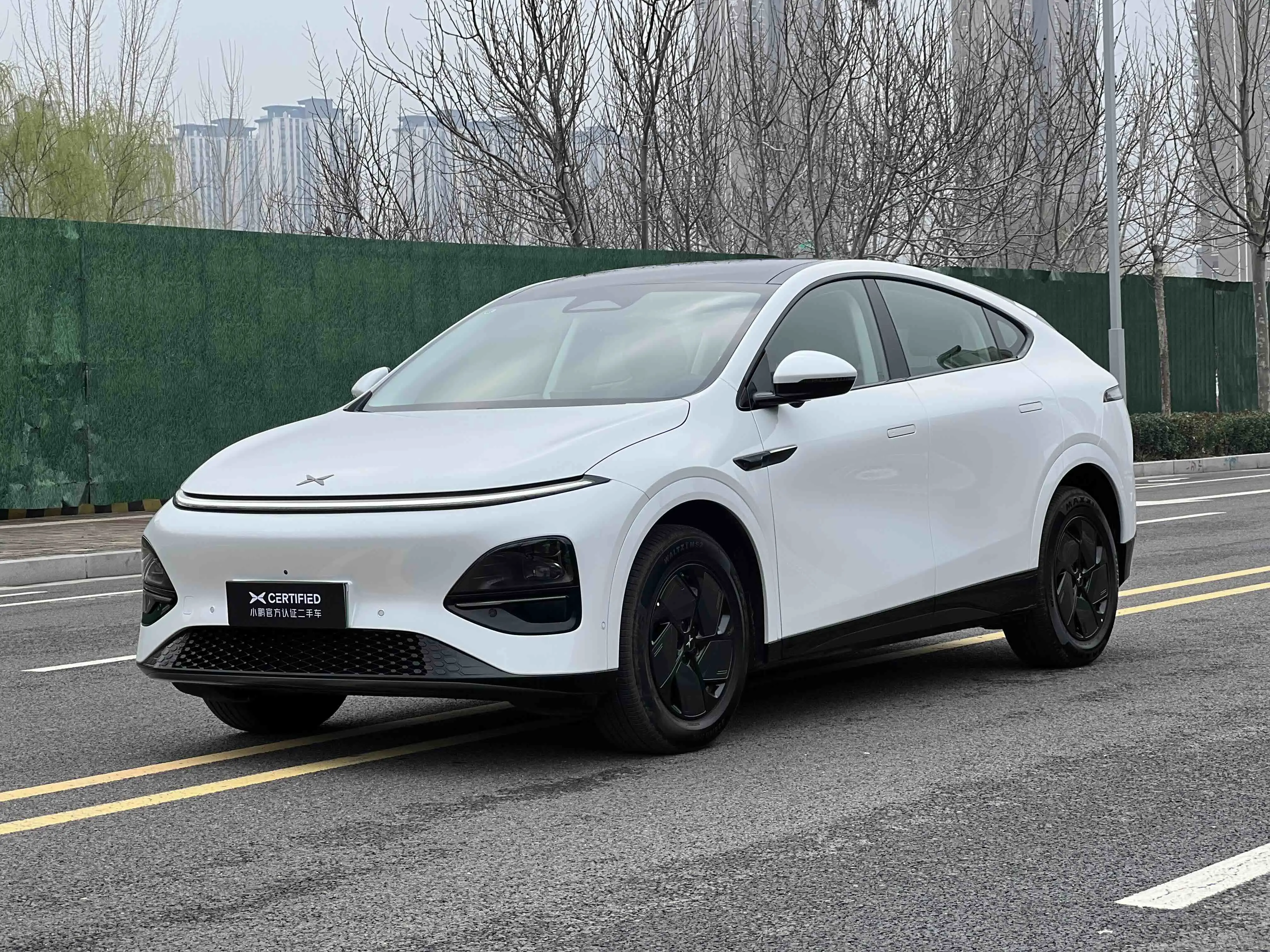 Xpeng G6  из Китая