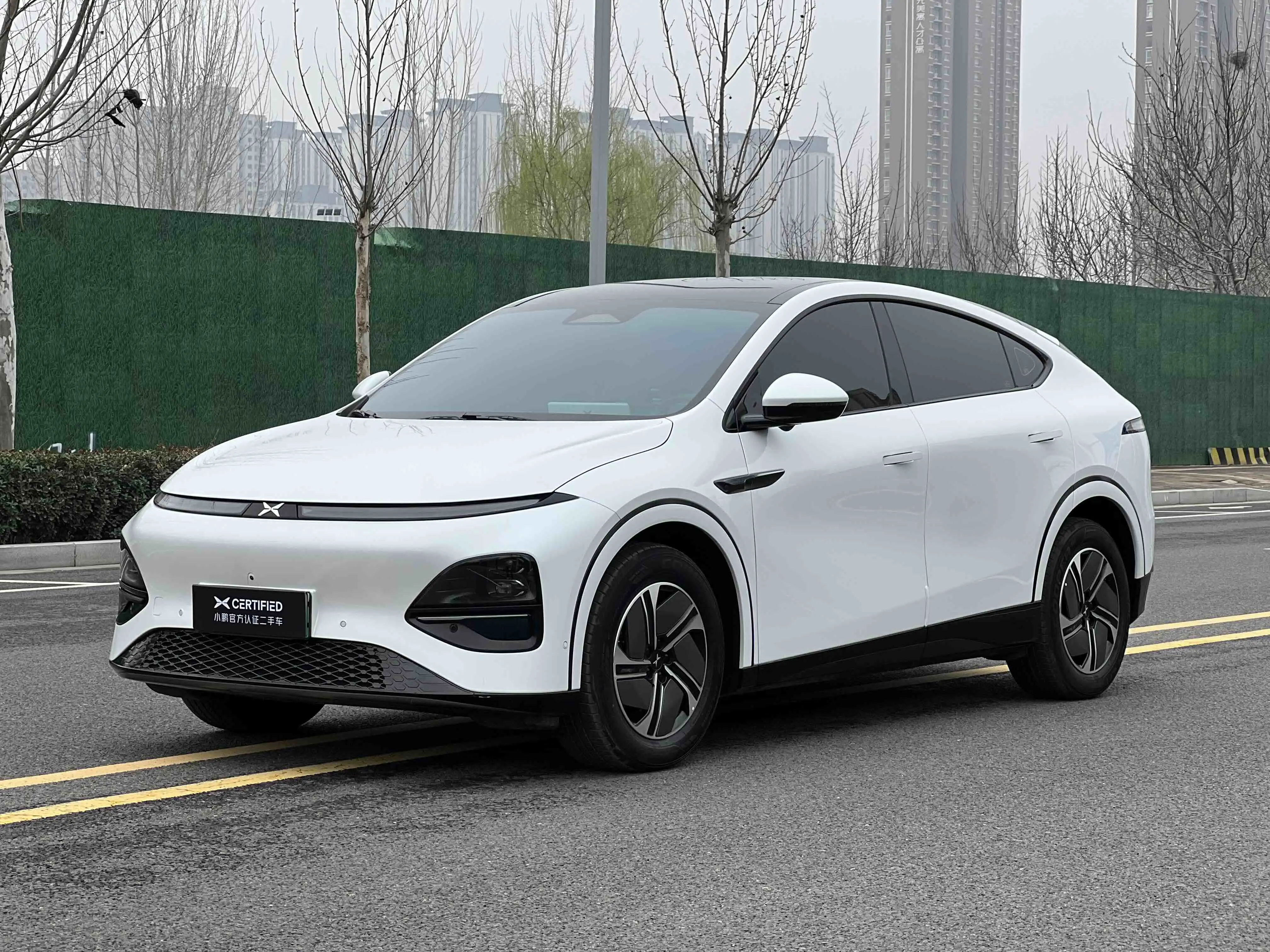 Xpeng G6  из Китая