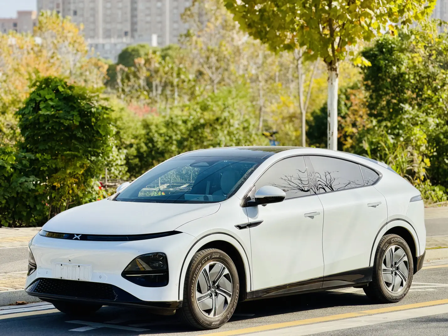 Xpeng G6  из Китая