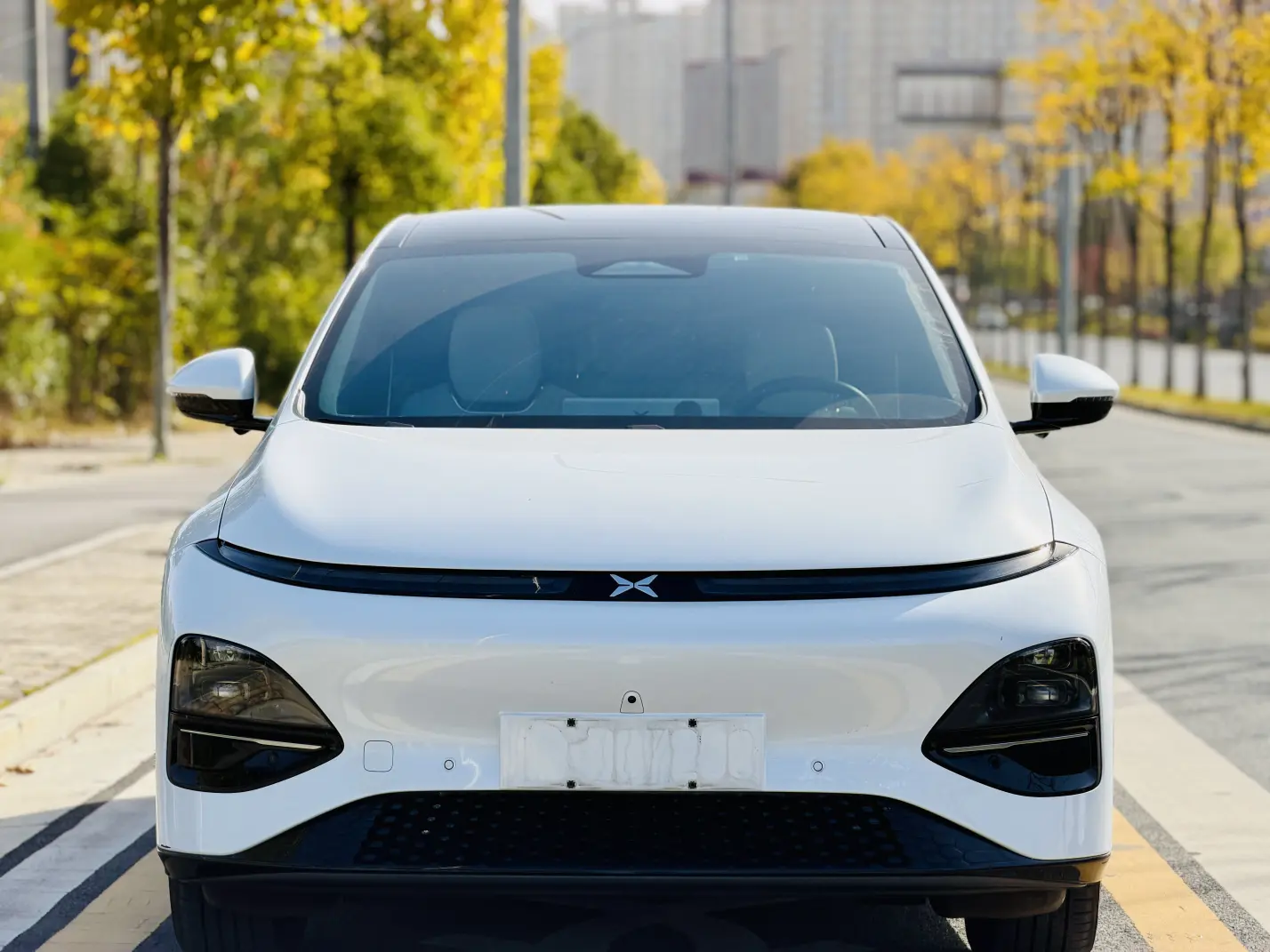 Xpeng G6  из Китая