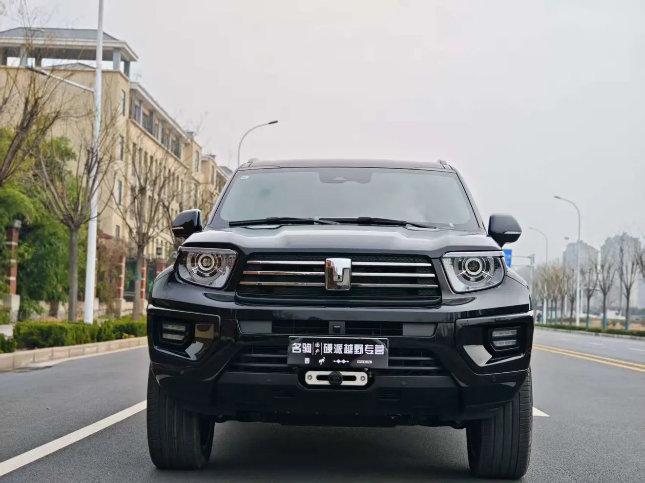 Tank 700 Hi4-T  из Китая