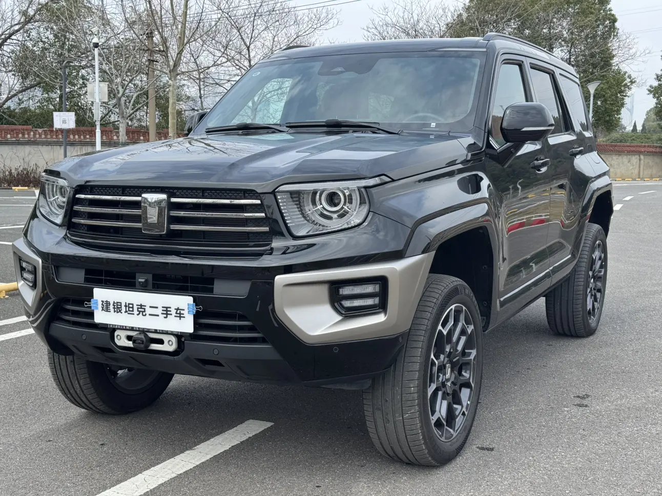 Tank 700 Hi4-T  из Китая