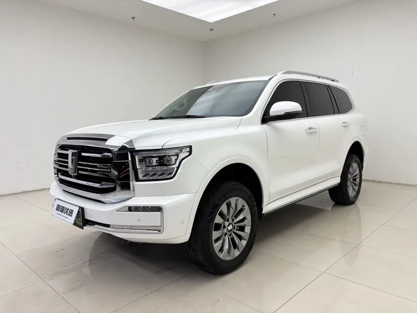 Tank 500 Hi4-T  из Китая