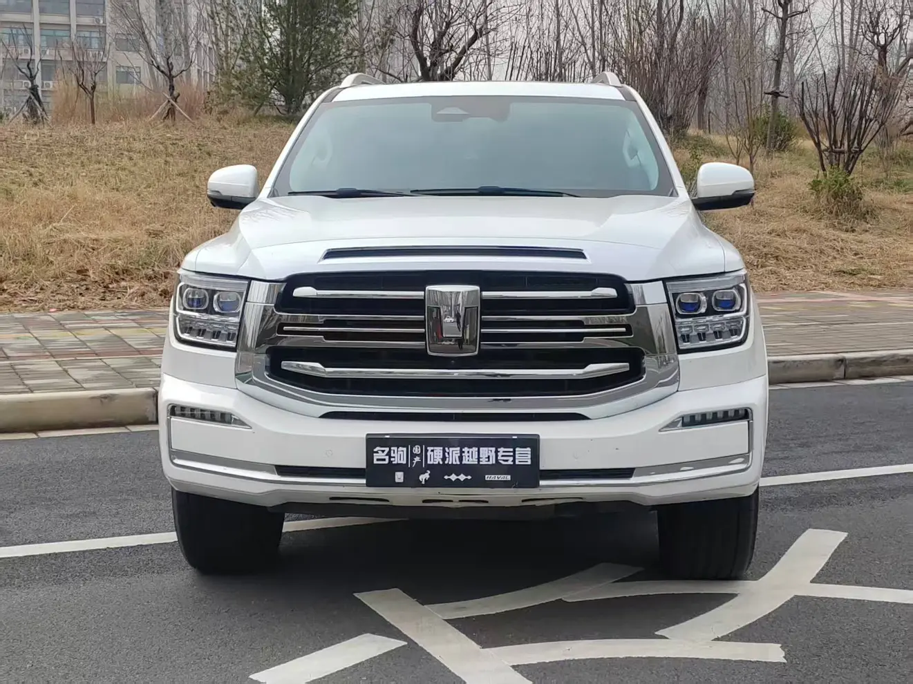 Tank 500 Hi4-T  из Китая