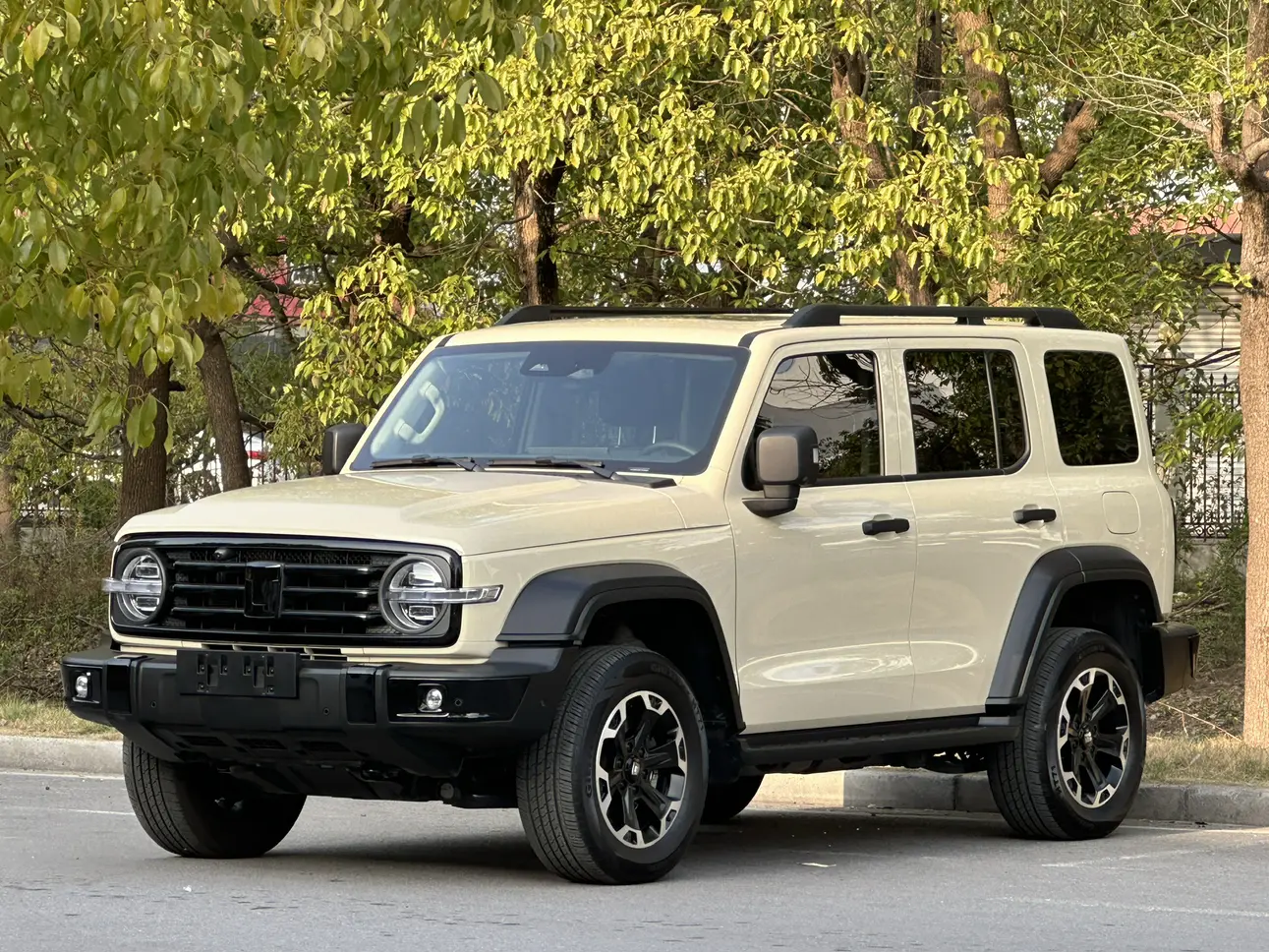 Tank 300 Hi4-T  из Китая