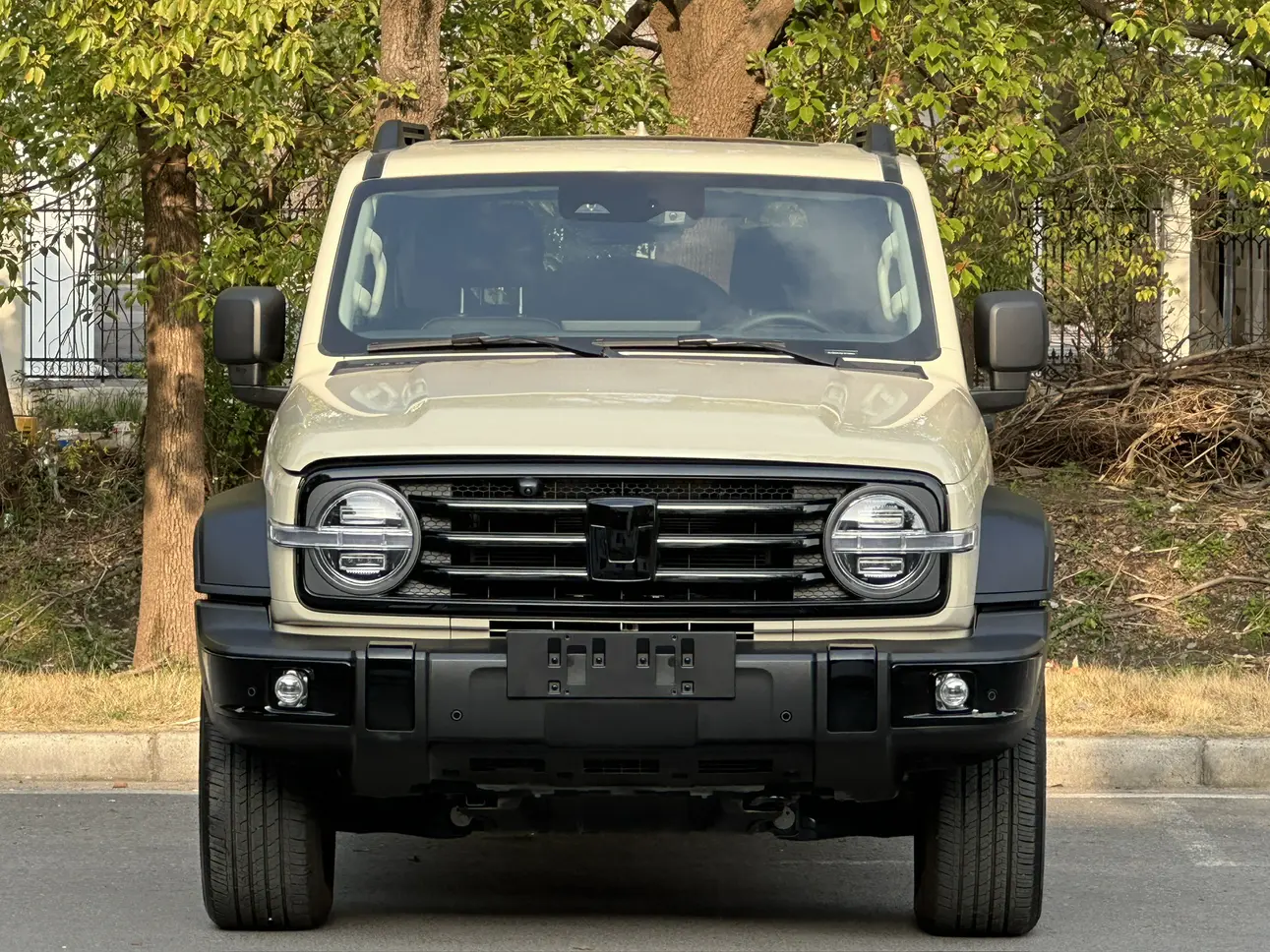 Tank 300 Hi4-T  из Китая