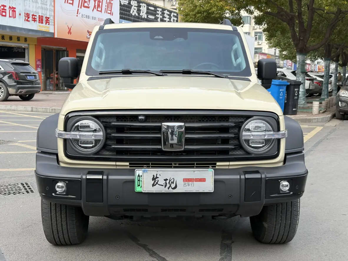 Tank 300 Hi4-T  из Китая