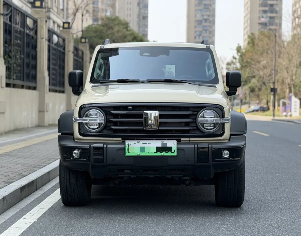 Tank 300 Hi4-T  из Китая