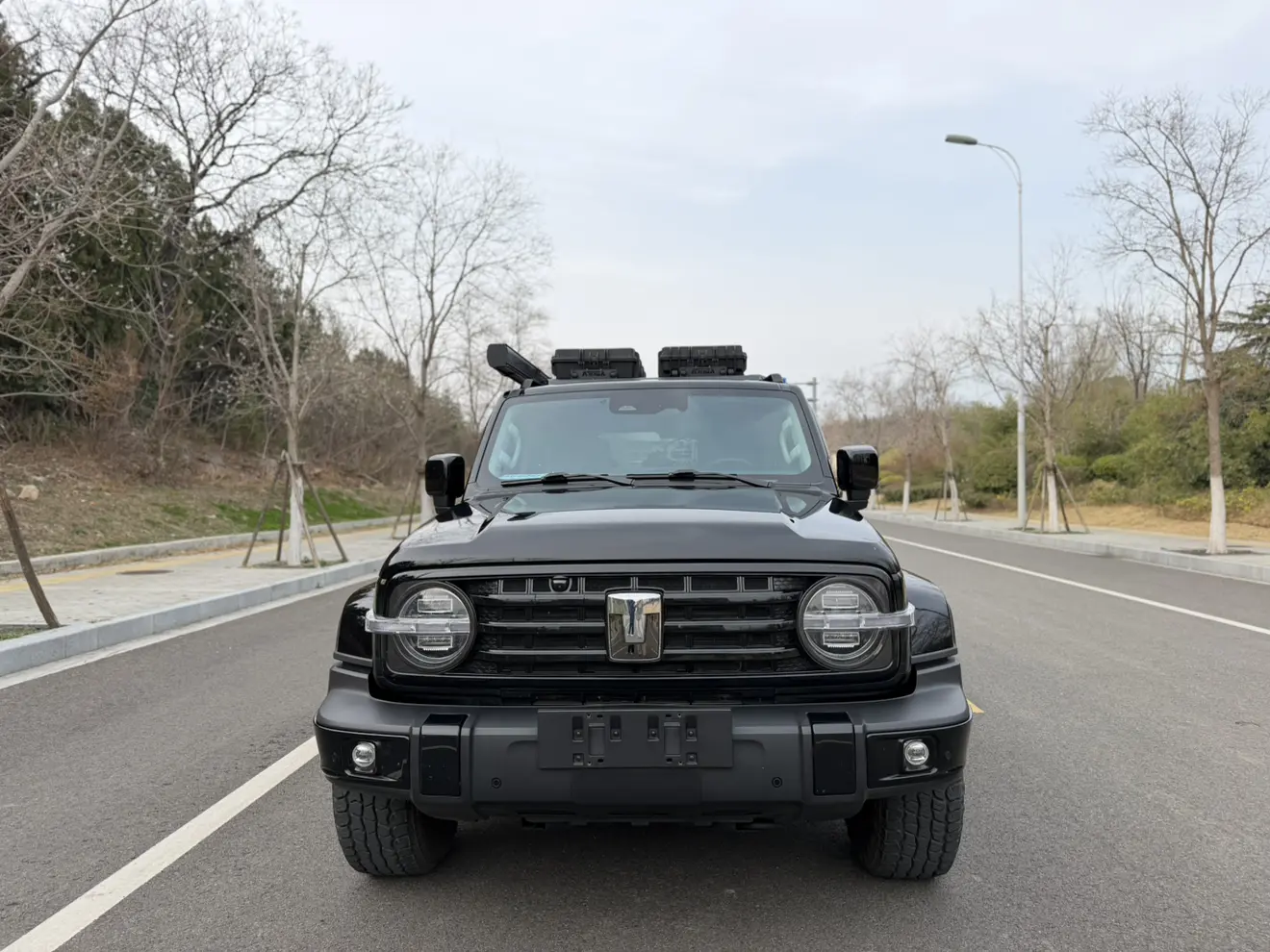 Tank 300 Hi4-T  из Китая