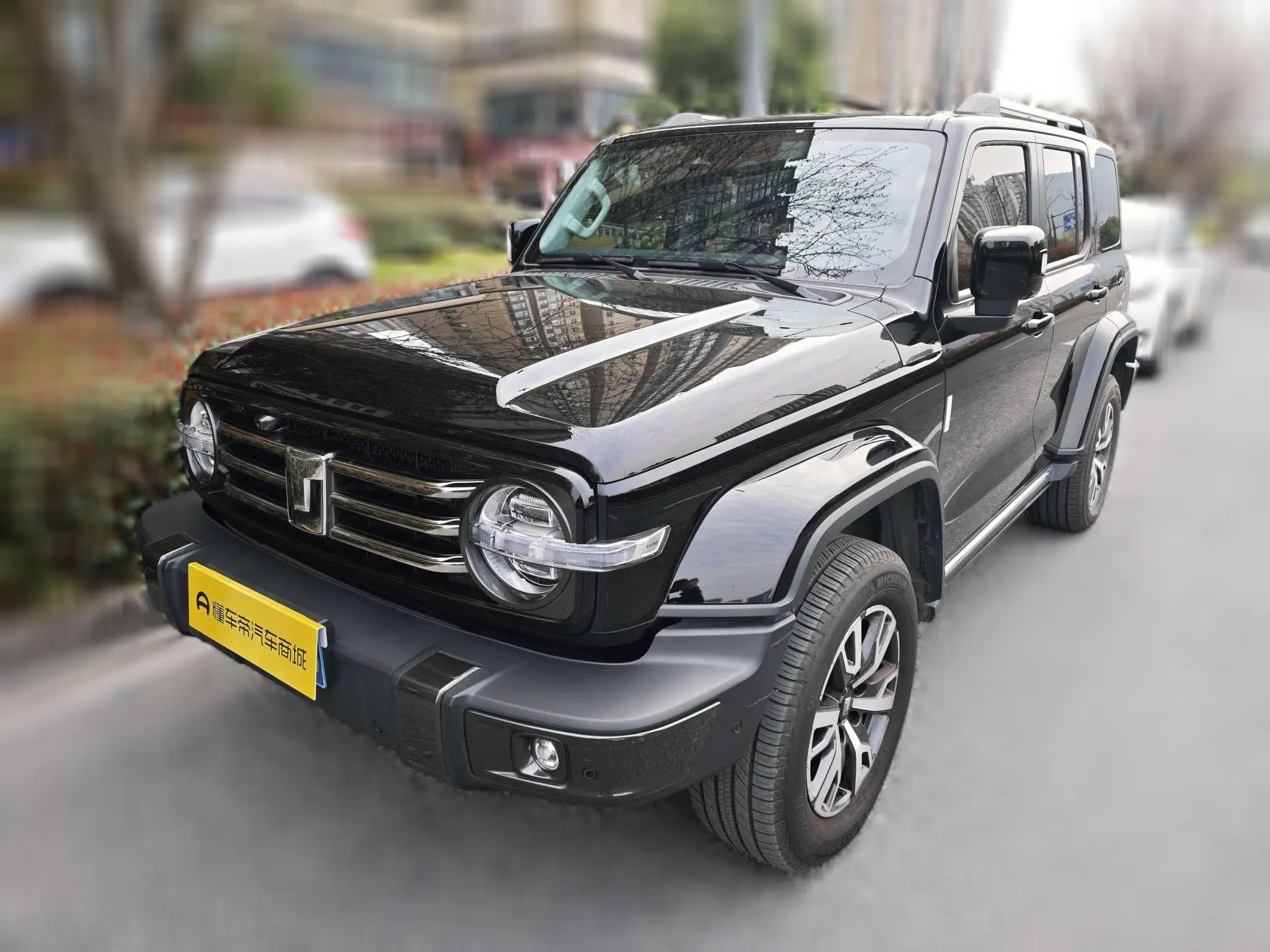 Tank 300  из Китая