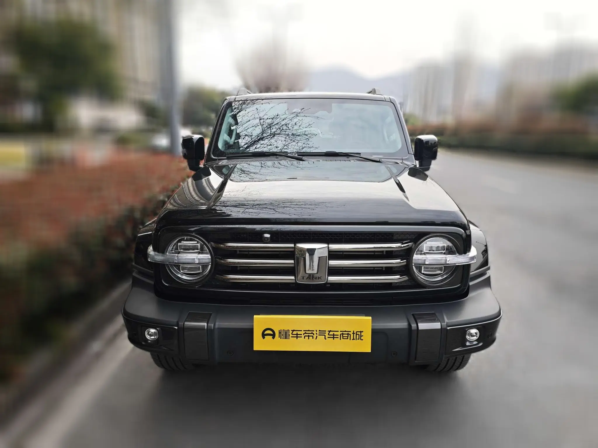 Tank 300  из Китая