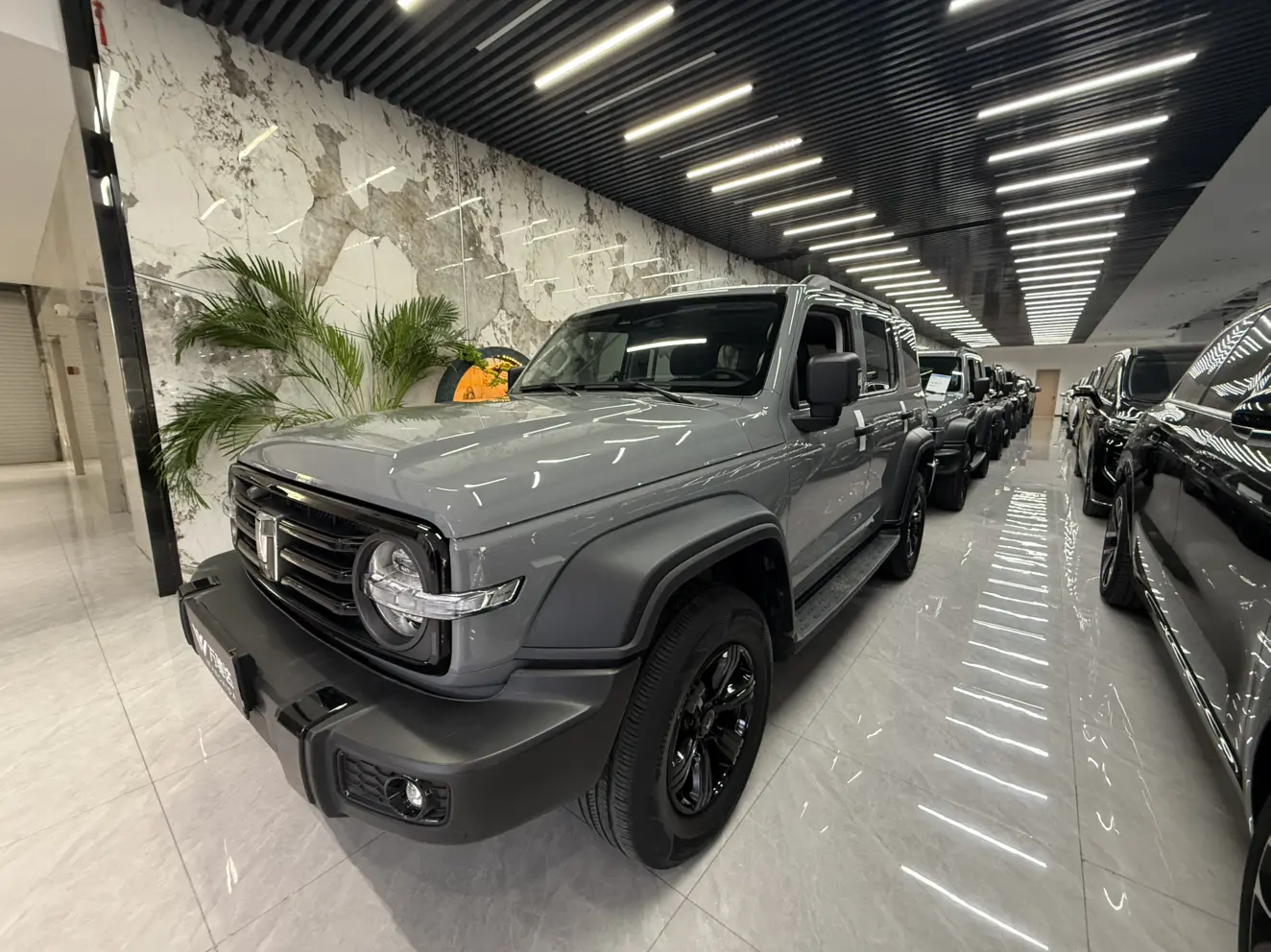 Tank 300  из Китая