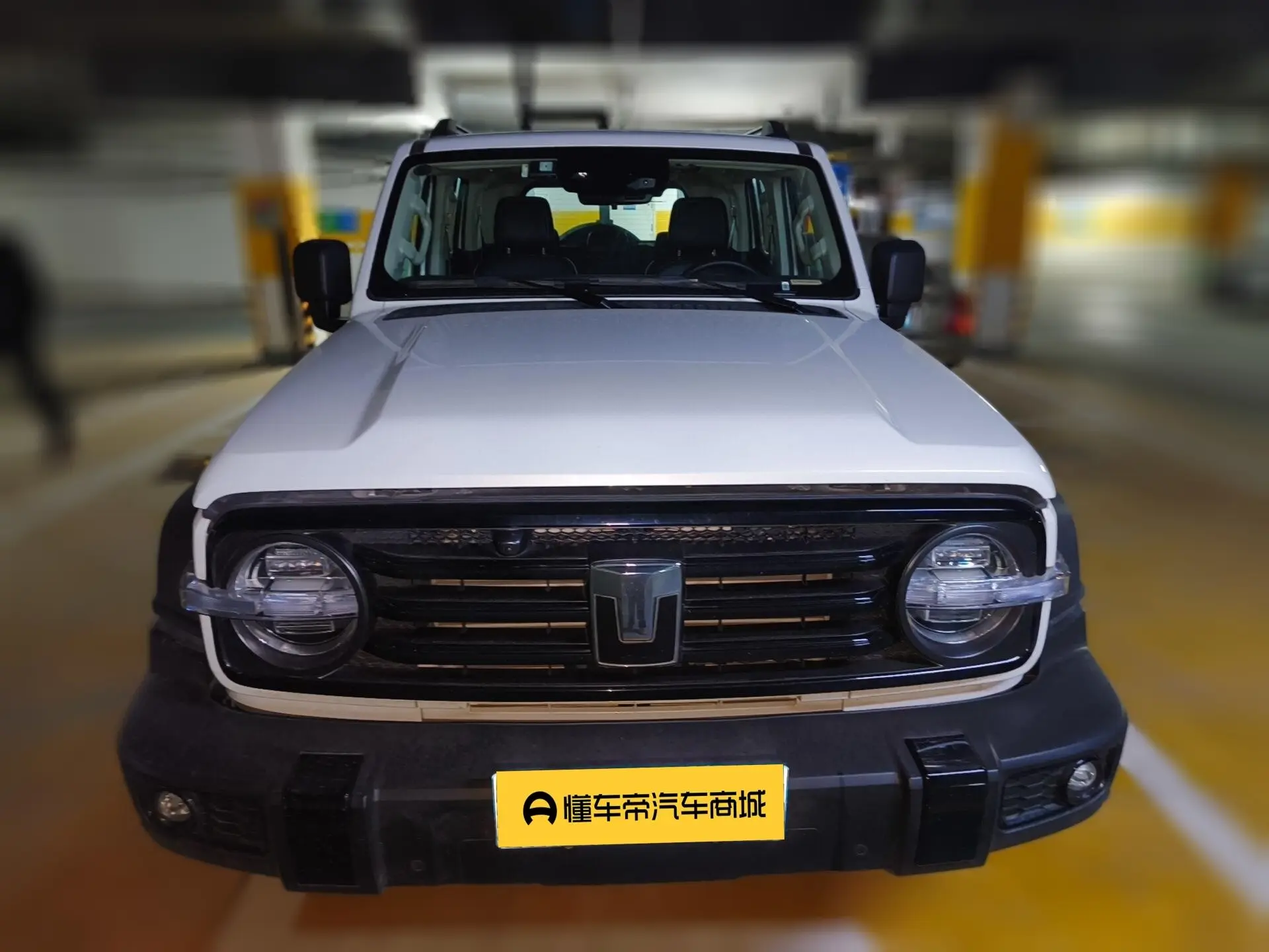 Tank 300  из Китая