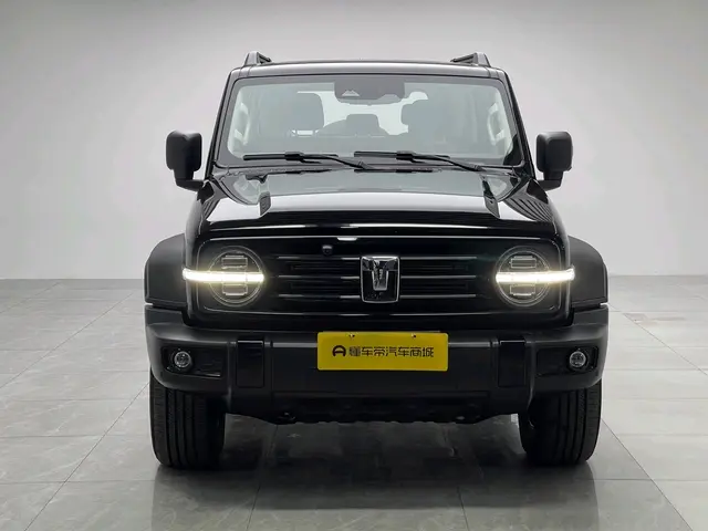 Tank 300  из Китая