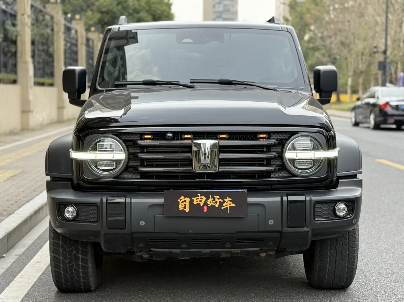 Tank 300  из Китая