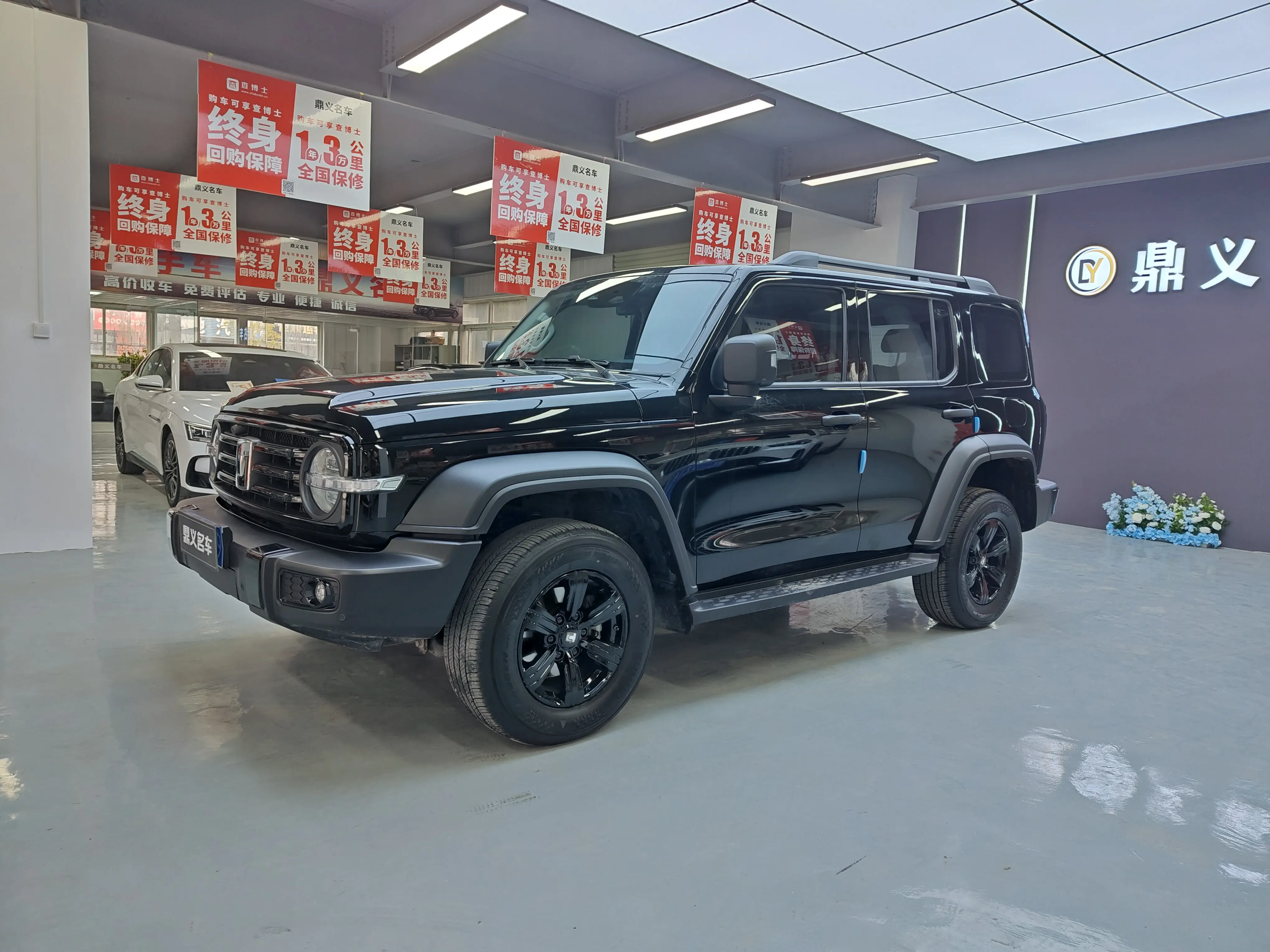 Tank 300  из Китая