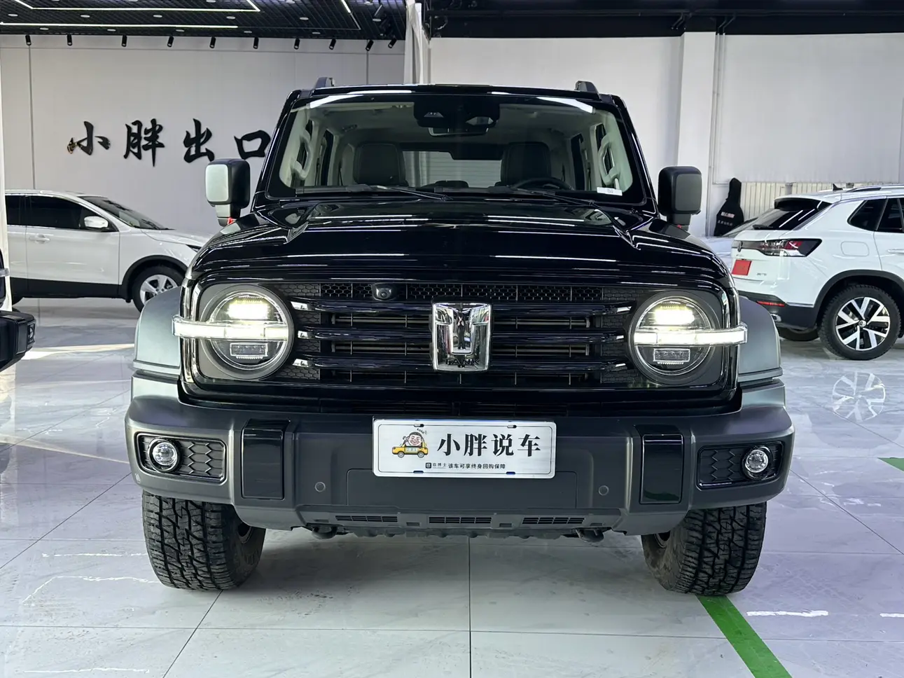 Tank 300  из Китая