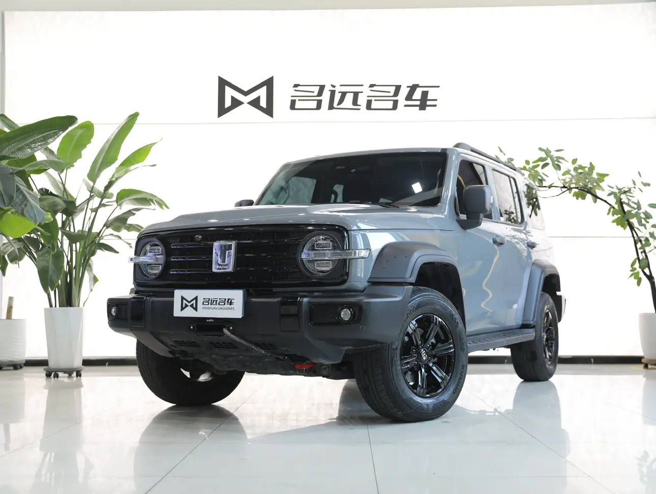 Tank 300  из Китая