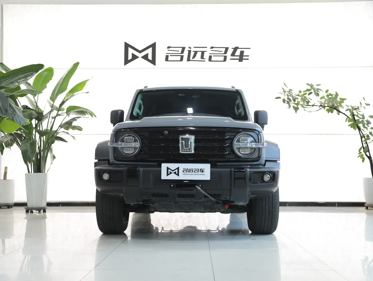 Tank 300  из Китая