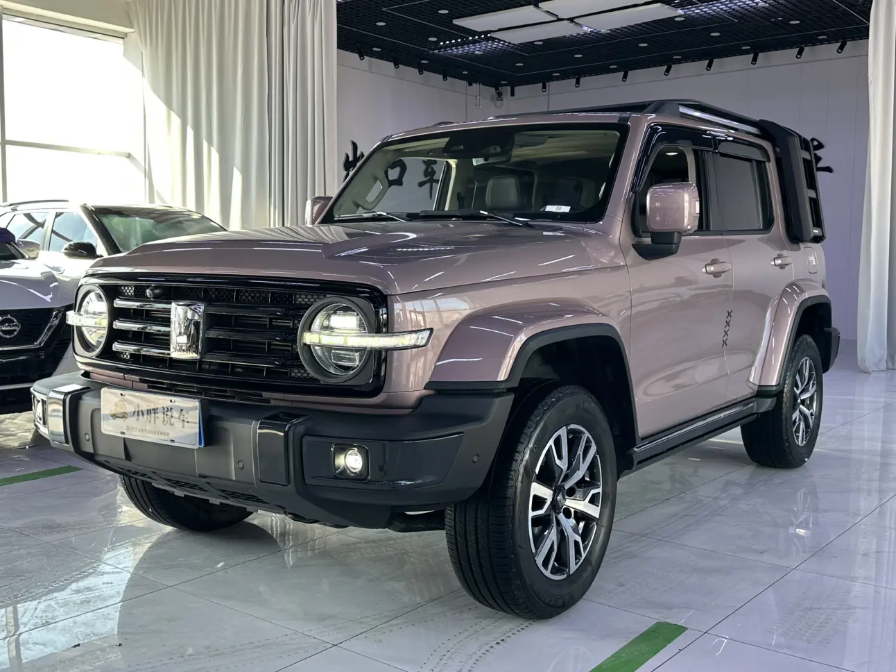 Tank 300  из Китая