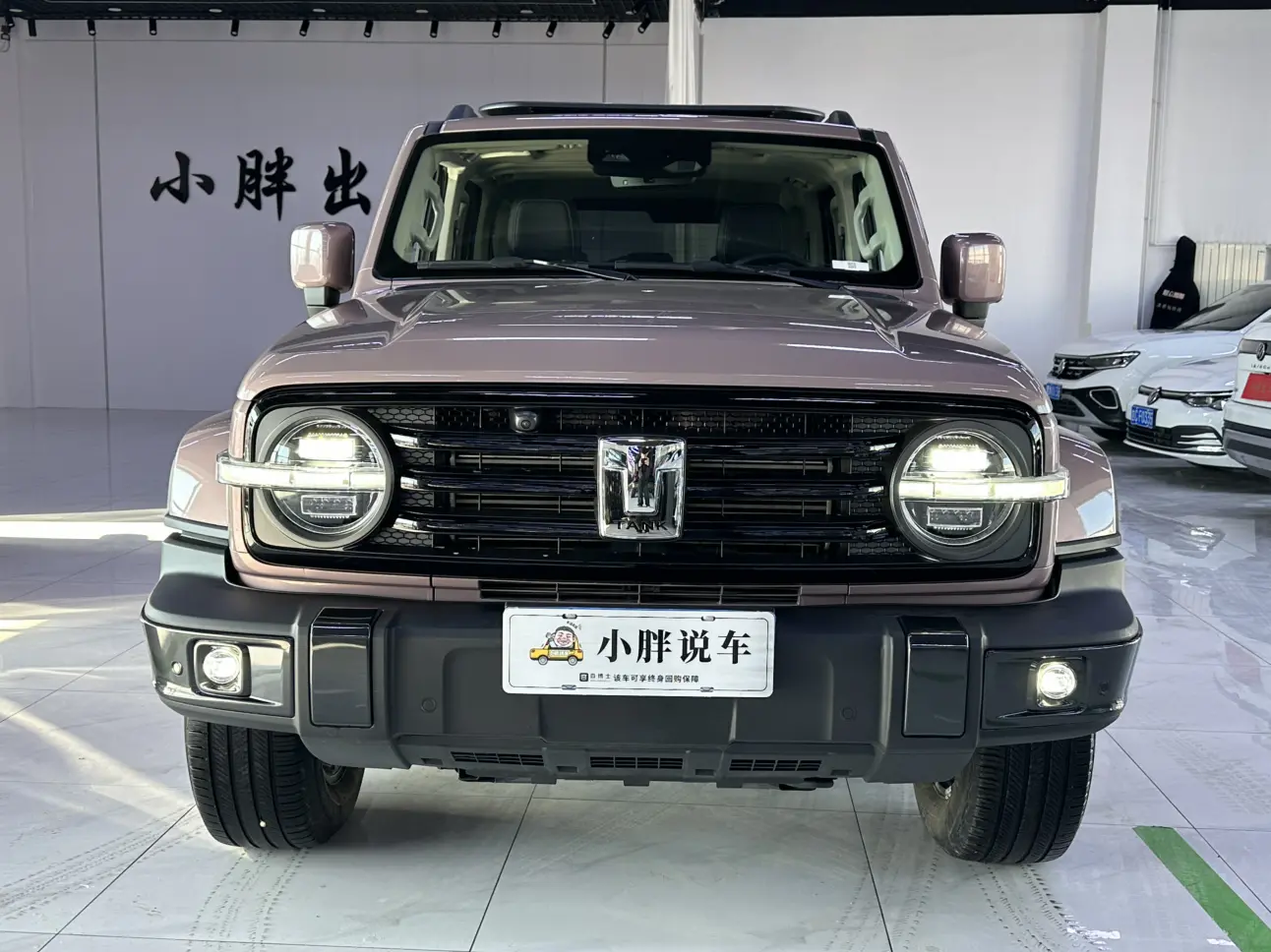 Tank 300  из Китая