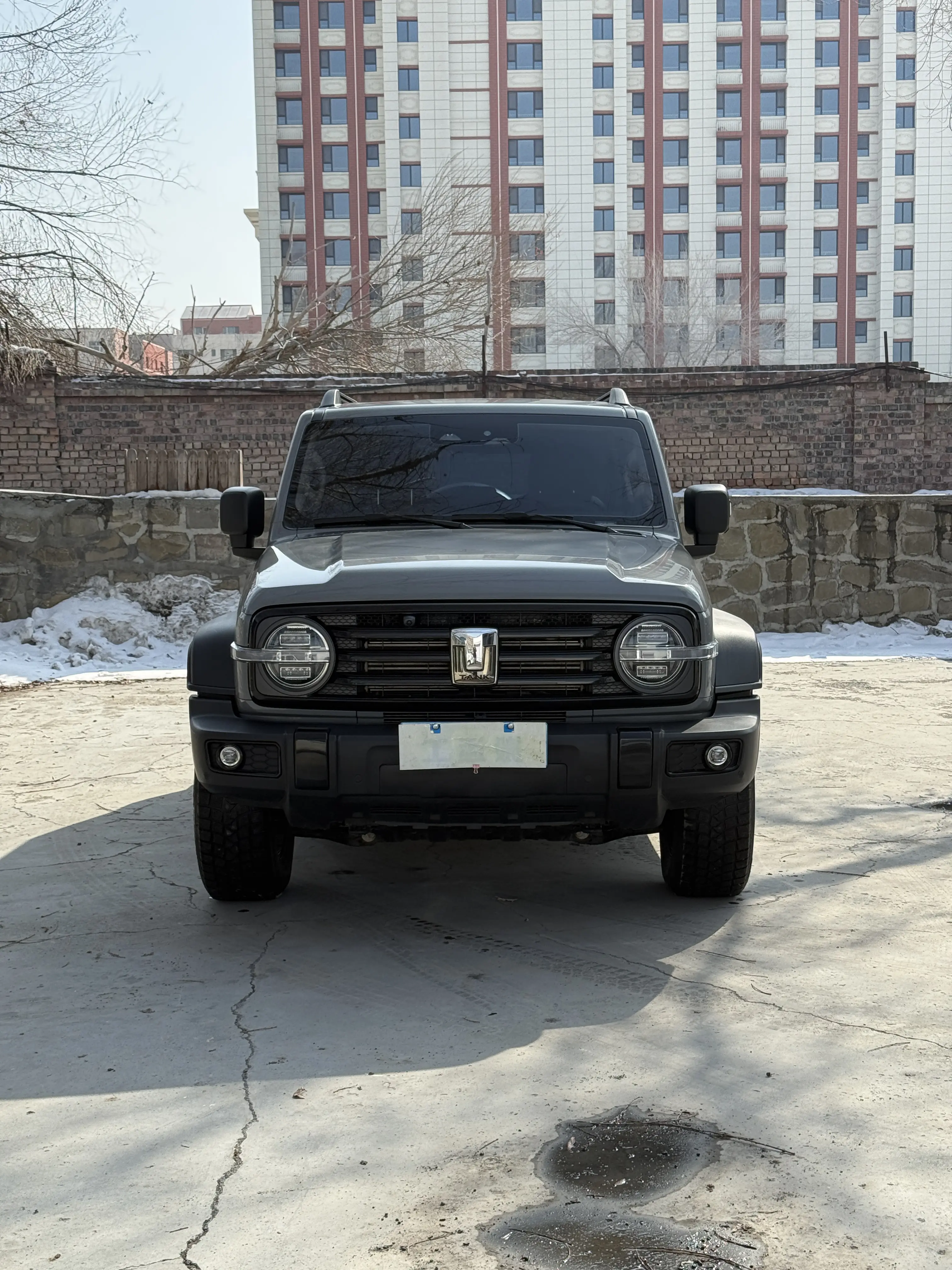 Tank 300  из Китая