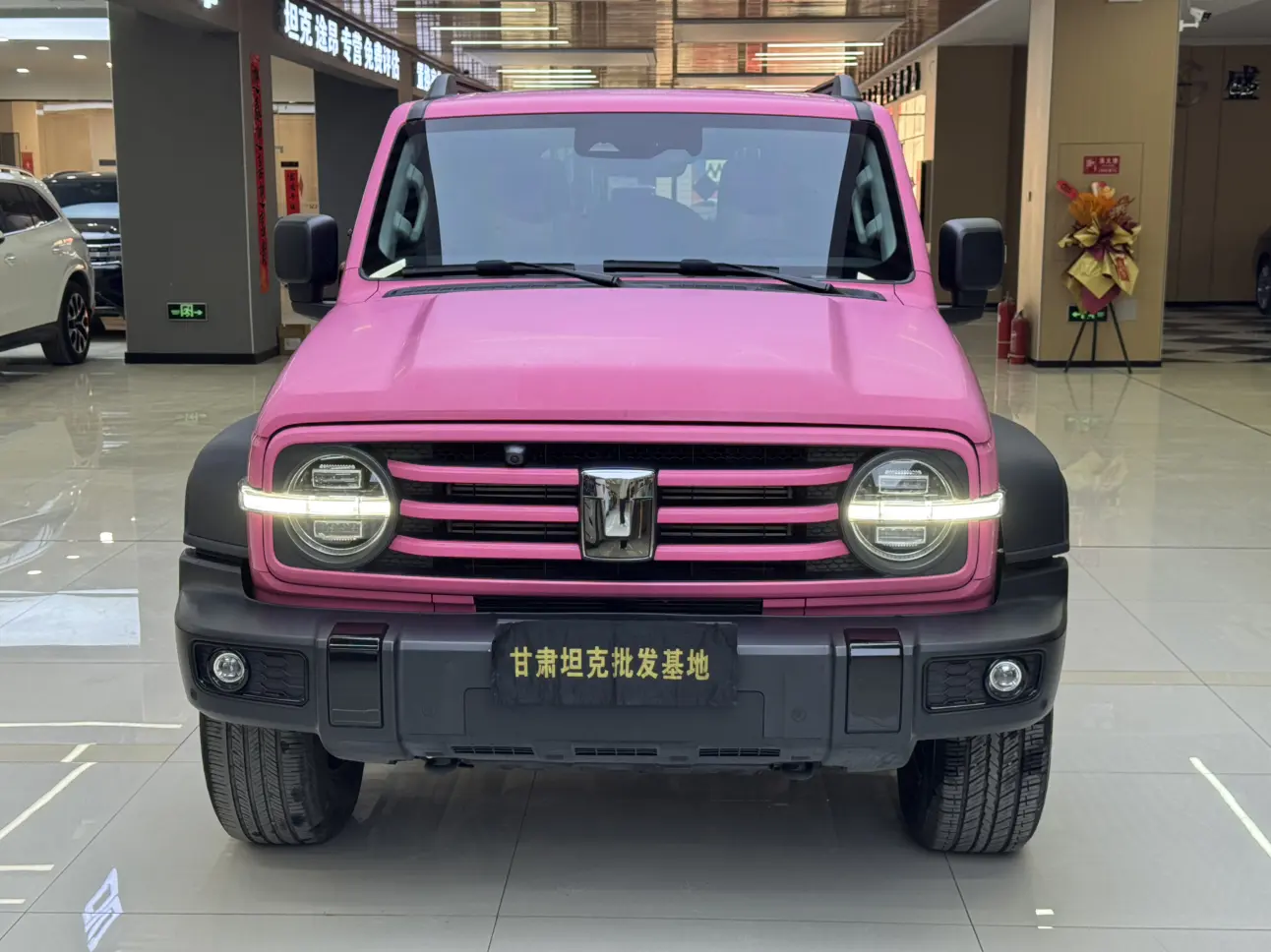 Tank 300  из Китая