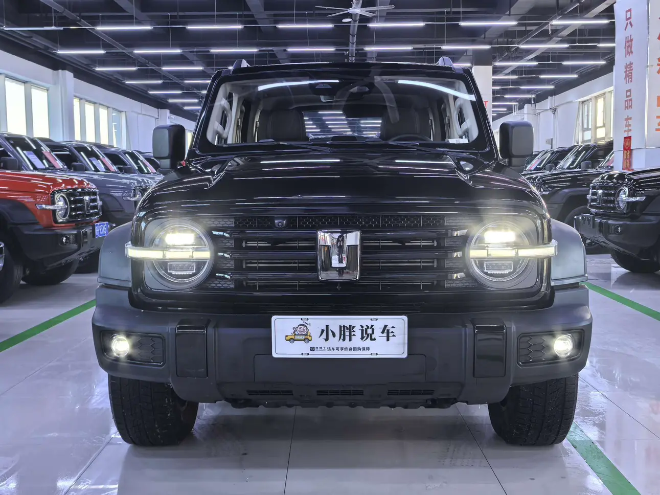 Tank 300  из Китая