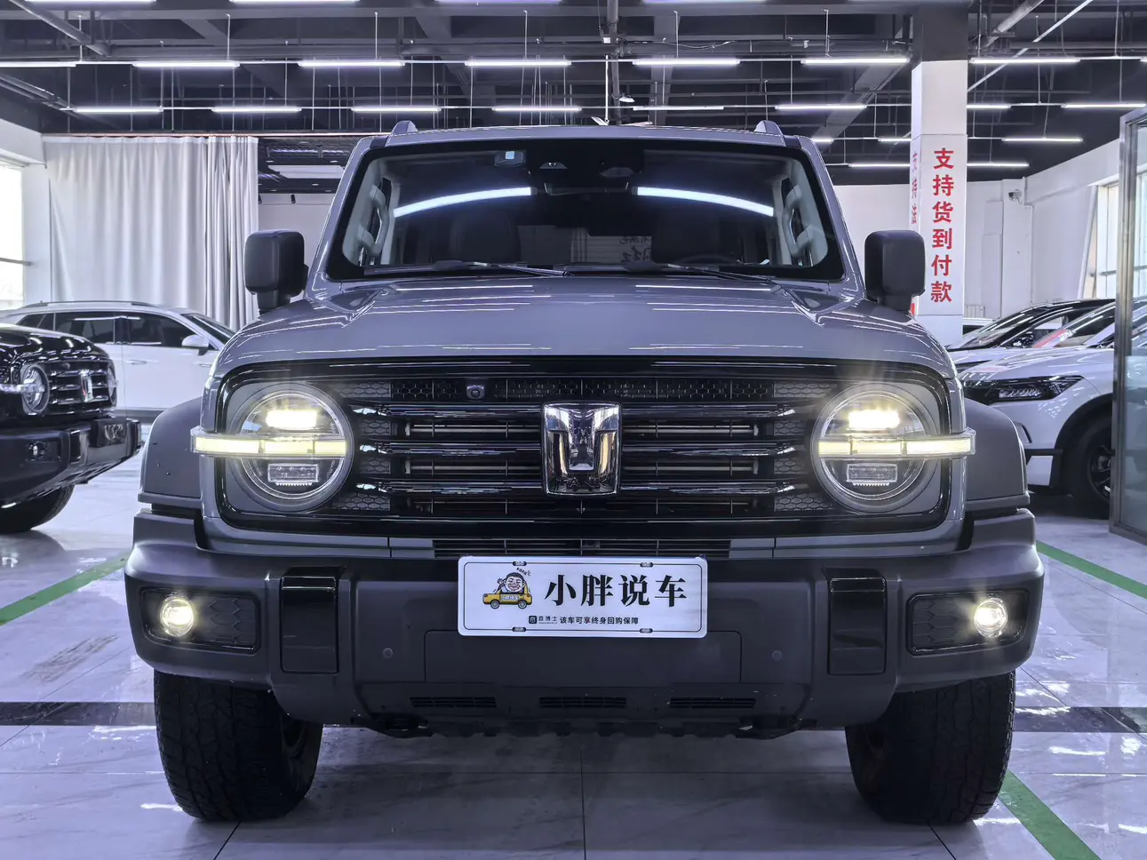 Tank 300  из Китая