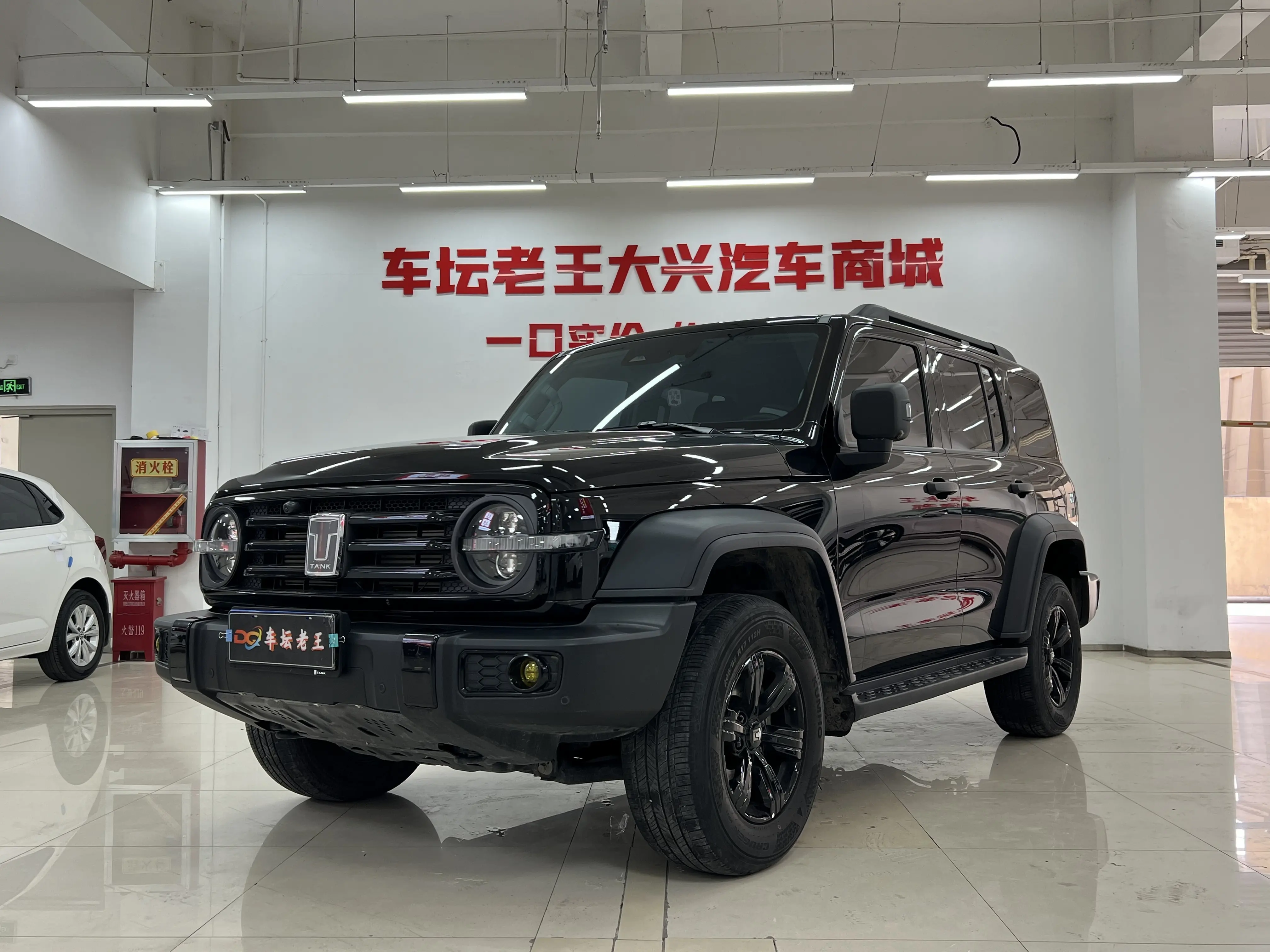 Tank 300  из Китая