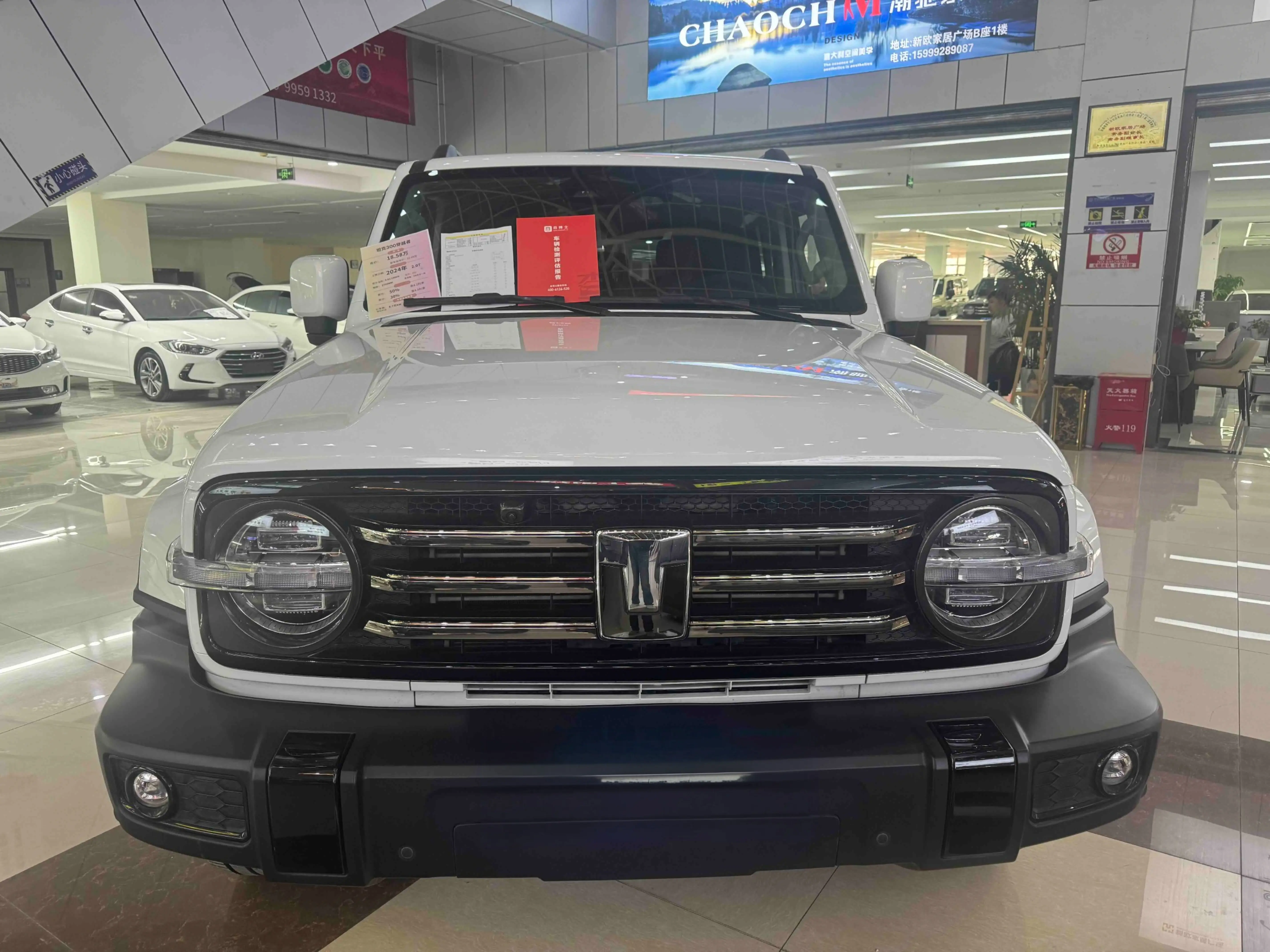 Tank 300  из Китая