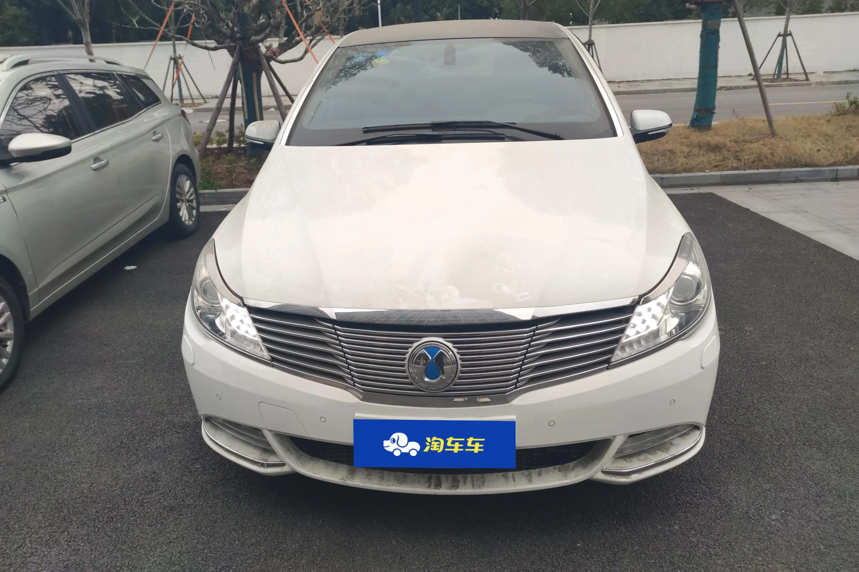 Denza Gain momentum  из Китая