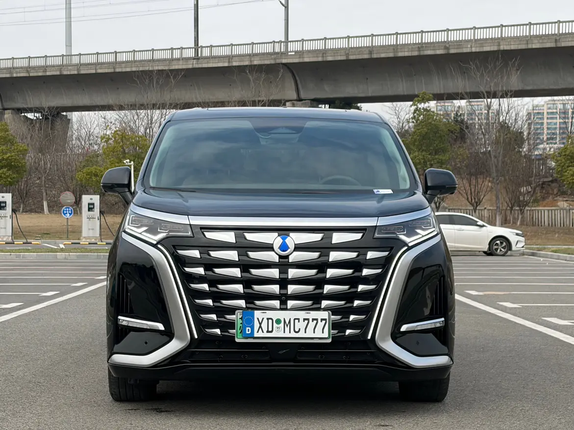 Denza D9 DM  из Китая