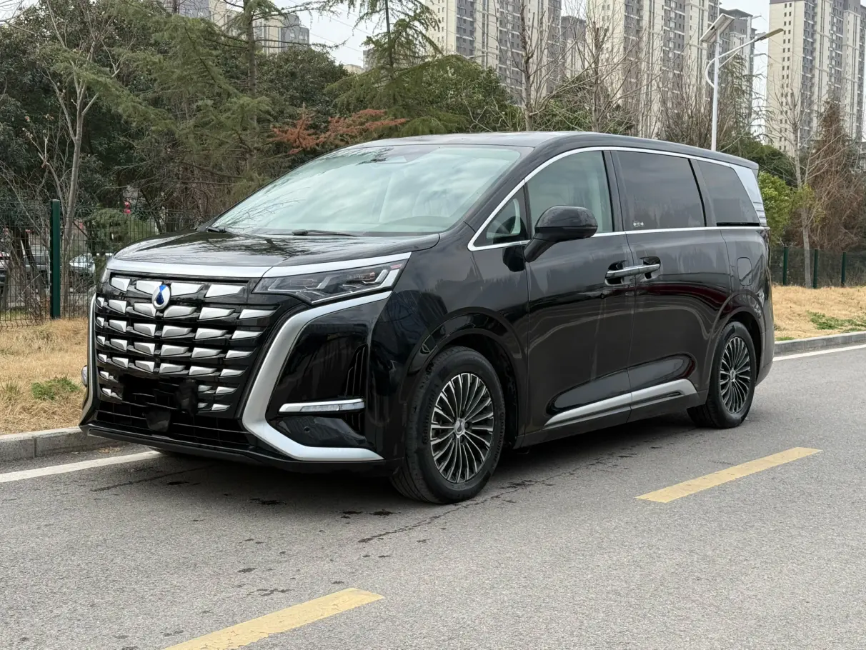 Denza D9 DM  из Китая