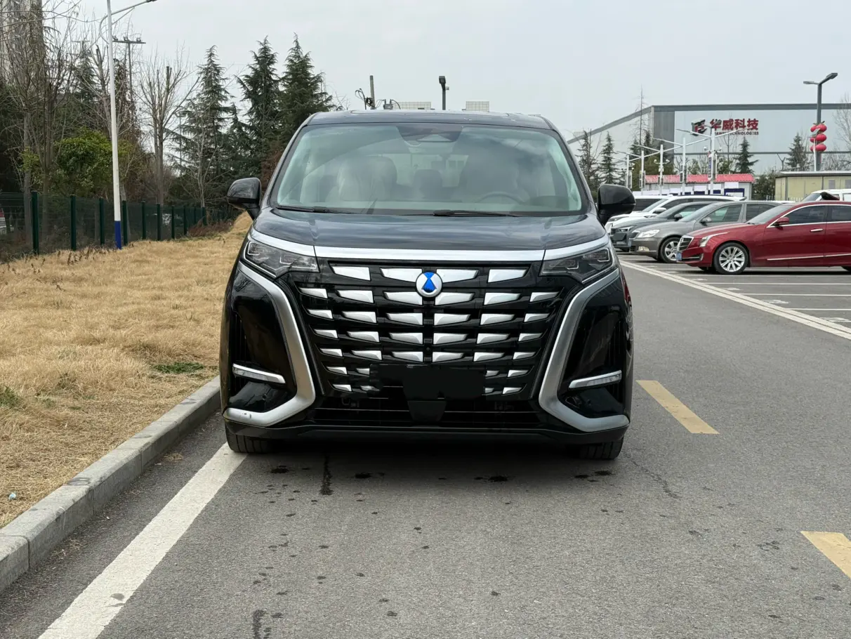 Denza D9 DM  из Китая