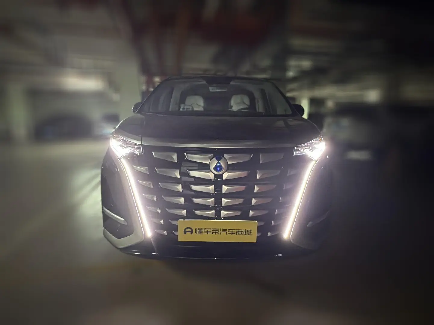 Denza D9 DM  из Китая