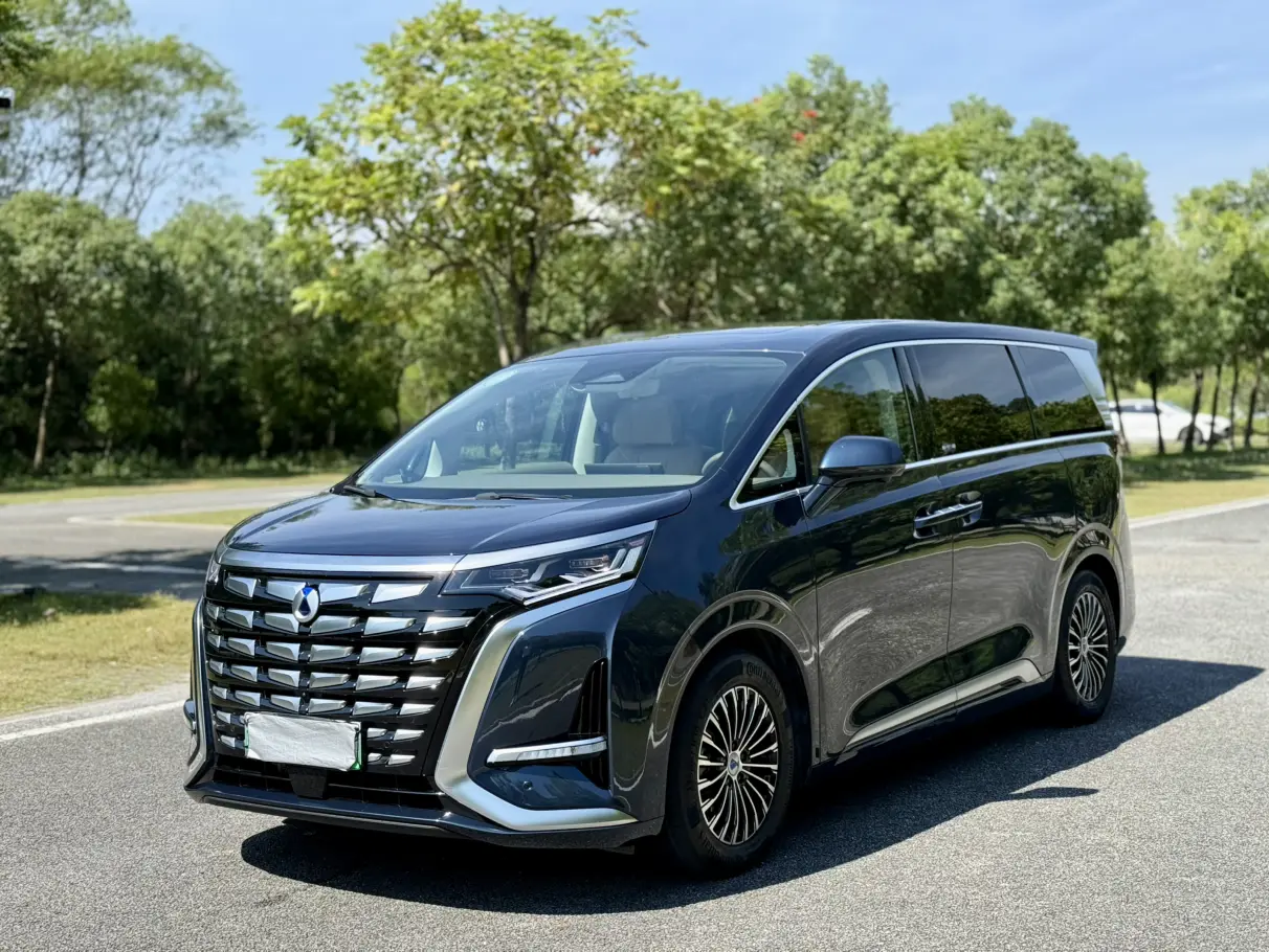 Denza D9 DM  из Китая