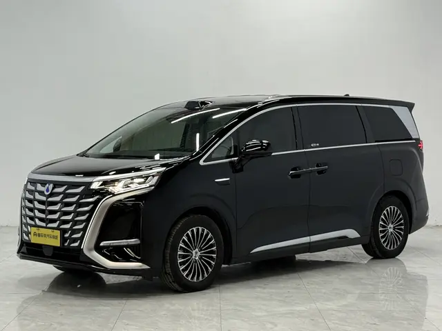 Denza D9 DM  из Китая