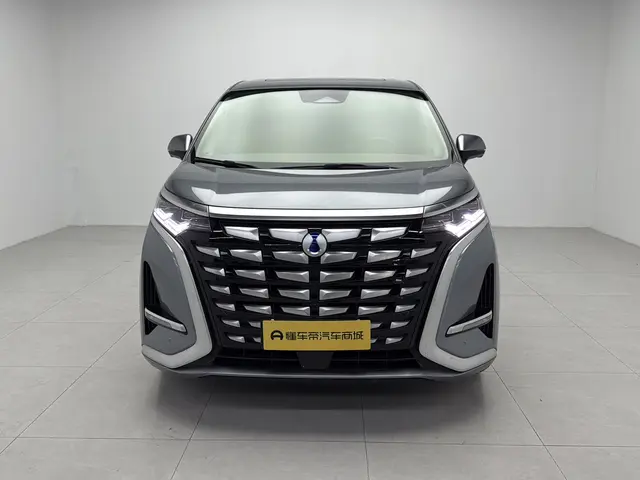 Denza D9 DM  из Китая