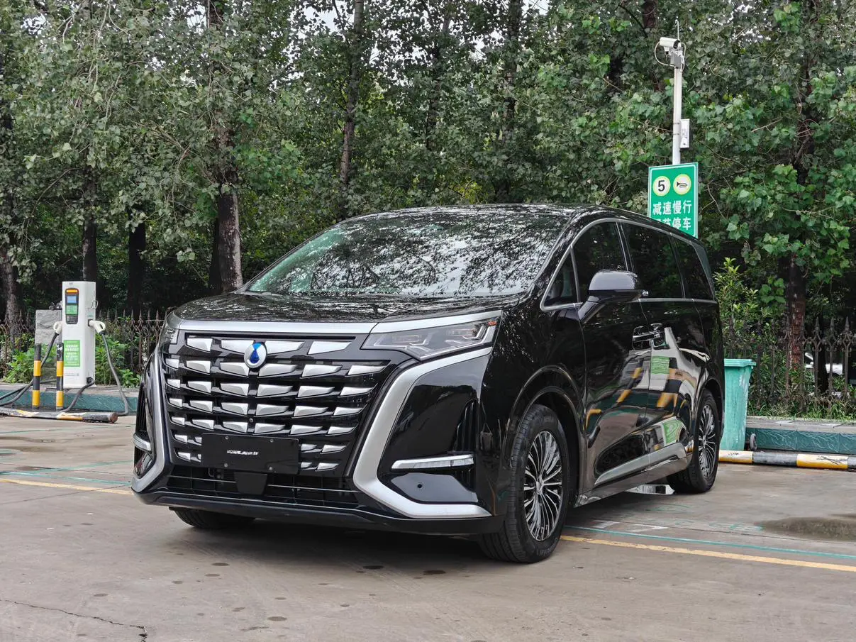 Denza D9 DM  из Китая