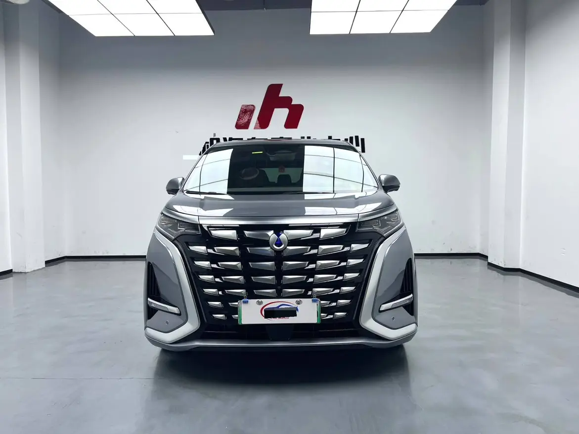 Denza D9 DM  из Китая