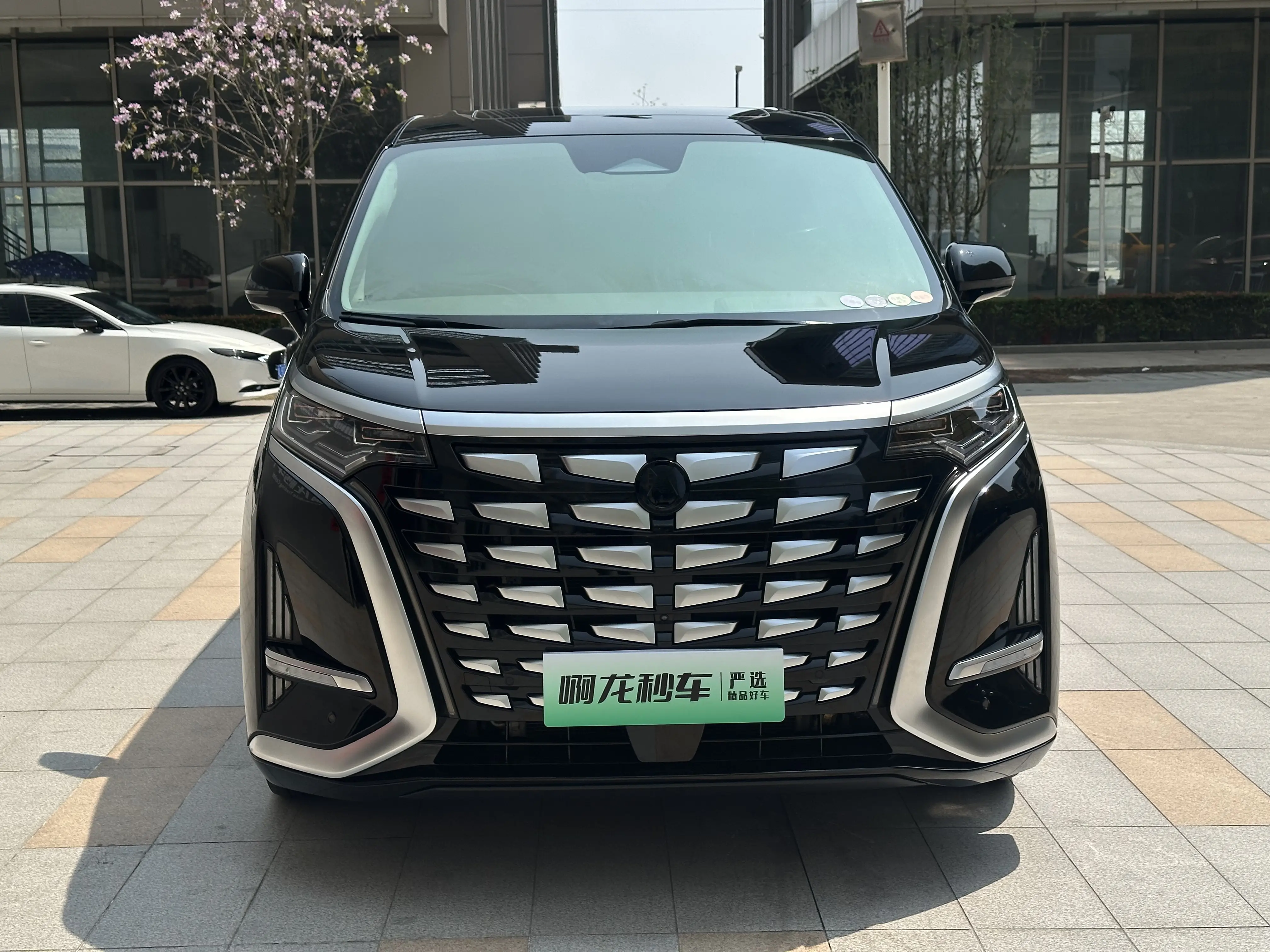 Denza D9 DM  из Китая