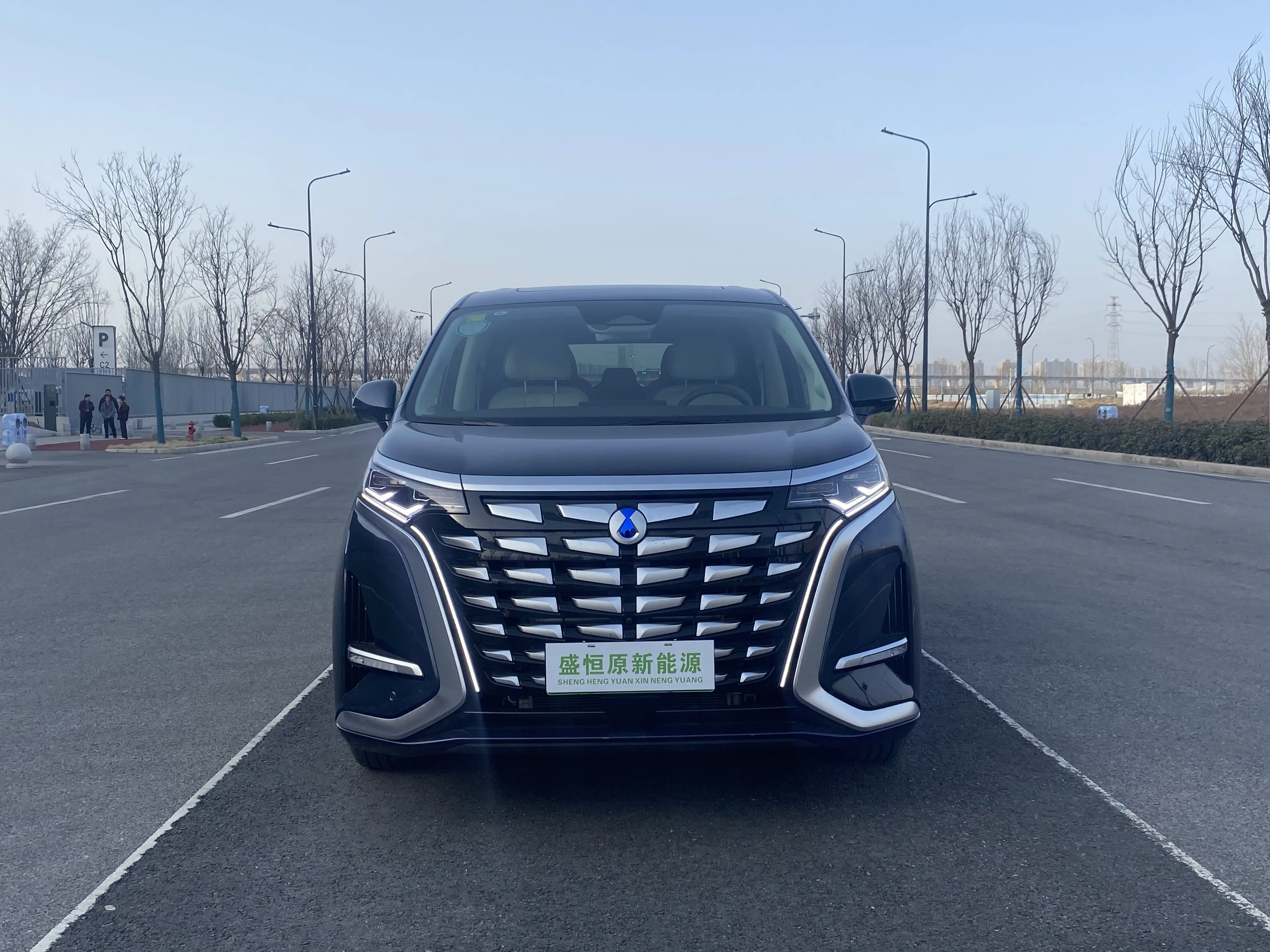 Denza D9 DM  из Китая