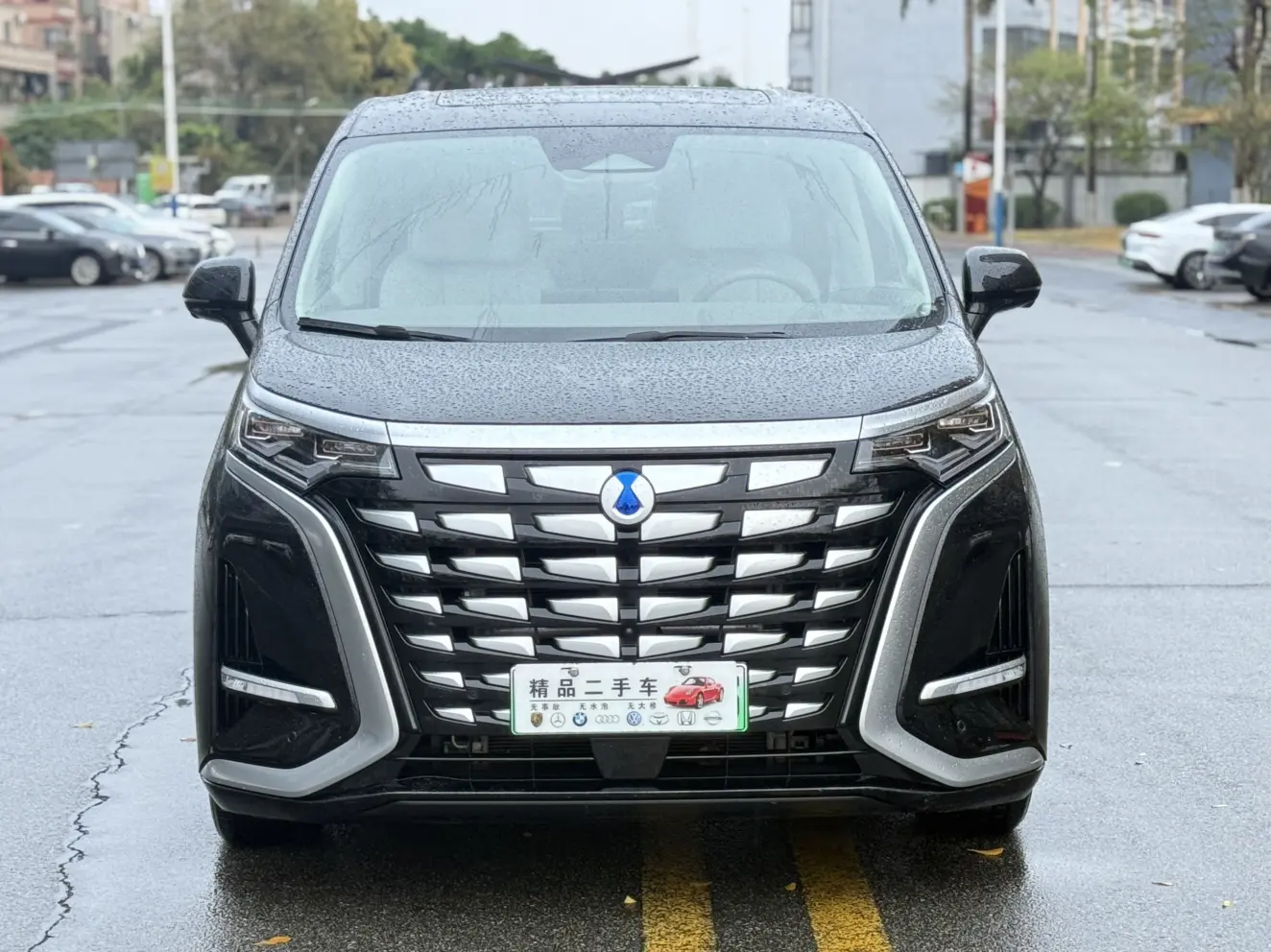 Denza D9 DM  из Китая