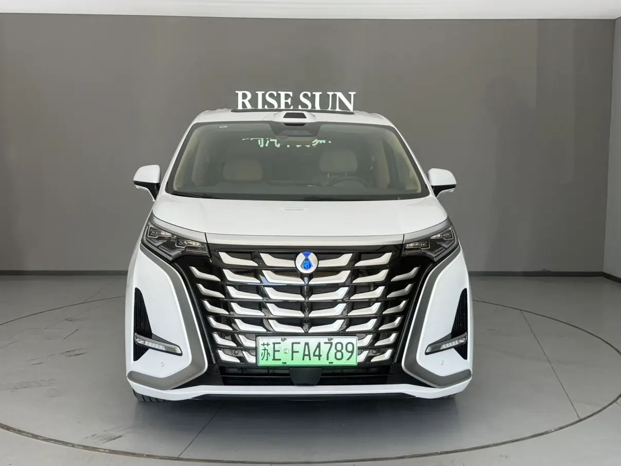 Denza D9 DM  из Китая