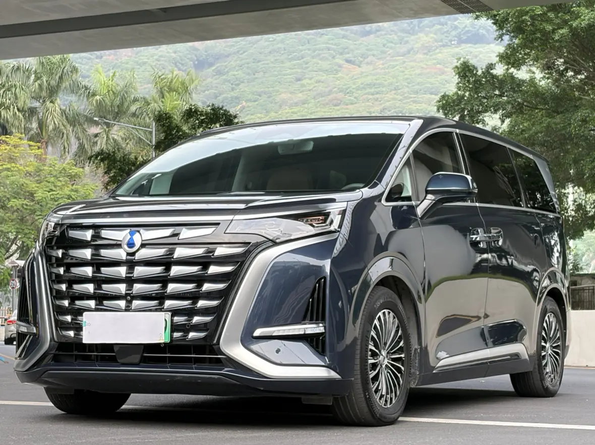 Denza D9 DM  из Китая